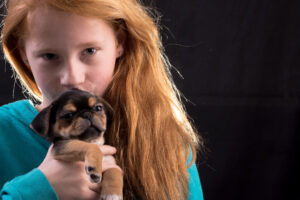 054-2015-12-06 Puppie shoot