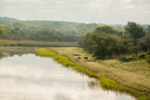 056-2014-05-04 Amsterdamse waterleidingduinen Les 6