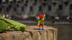 058-2015-05-24 Gent