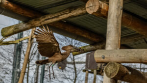 059-2015-02-08 Dierentuin Blijdorp