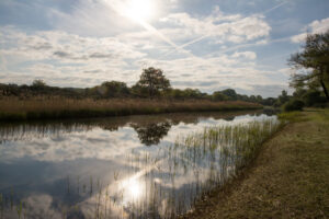 060-2014-05-04 Amsterdamse waterleidingduinen Les 6