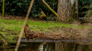 061-2015-02-08 Dierentuin Blijdorp