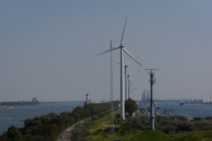 061-2015-08-22 Landtong met Mieke