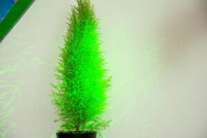 062-2014-05-20 Experiment