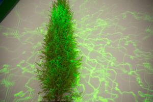 063-2014-05-20 Experiment