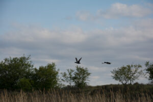 064-2014-05-04 Amsterdamse waterleidingduinen Les 6