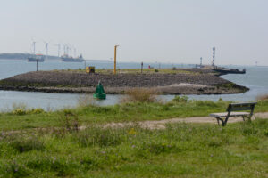 067-2015-08-22 Landtong met Mieke