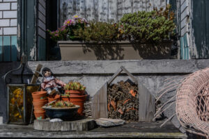 068-2015-09-20 Doel België met Iris