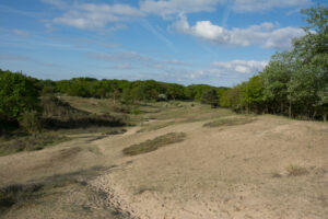 071-2014-05-04 Amsterdamse waterleidingduinen Les 6