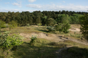 072-2014-05-04 Amsterdamse waterleidingduinen Les 6