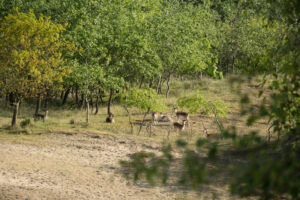 073-2014-05-04 Amsterdamse waterleidingduinen Les 6