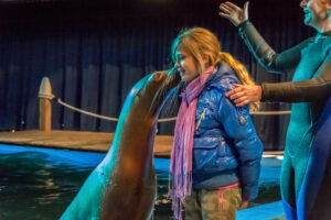 077-2015-12-12 Yill in dierenpark Rhenen