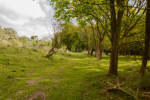 078-2014-05-04 Amsterdamse waterleidingduinen Les 6