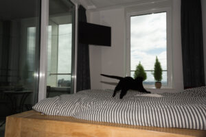 095-2015-04-04 Thuis