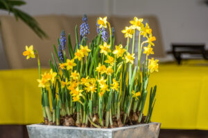 101-2015-04-04 Thuis