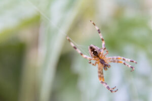 102-2014-06-12 Foto cursus les 8