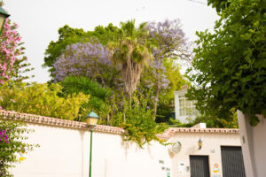 103-2014-05-27 Vakantie Spanje Torromolinos