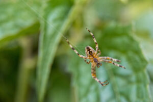 103-2014-06-12 Foto cursus les 8