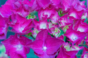 104-2014-06-12 Foto cursus les 8