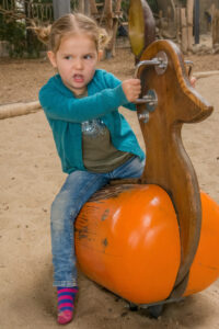 104-2015-12-12 Yill in dierenpark Rhenen