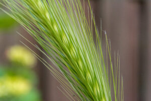 105-2014-06-12 Foto cursus les 8