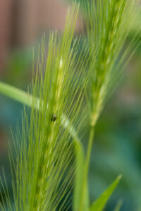 106-2014-06-12 Foto cursus les 8