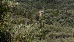 107-2015-05-14 Vakantie Corfu