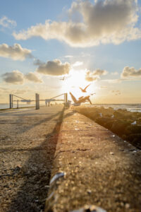 108-2015-07-30 Hoek van Holland