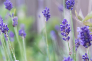 109-2014-06-12 Foto cursus les 8