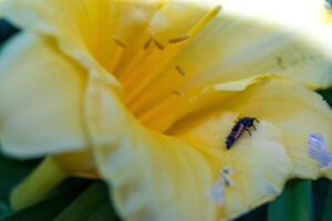 111-2014-06-12 Foto cursus les 8