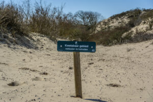 111-2015-04-05 Duinen