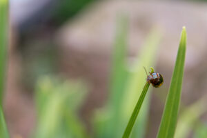 112-2014-06-12 Foto cursus les 8