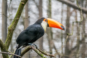 112-2015-12-12 Yill in dierenpark Rhenen