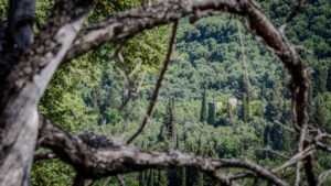 113-2015-05-14 Vakantie Corfu