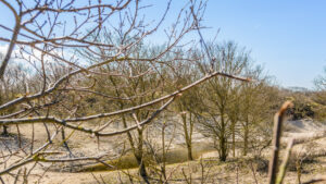 114-2015-04-05 Duinen