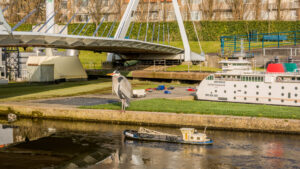 116-2015-01-23 Madurodam