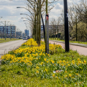 117-2015-04-05 Duinen