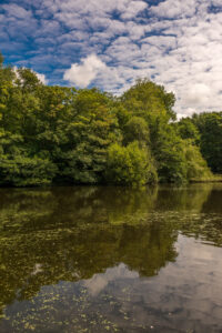 122-2014-06-22 Meer en bos
