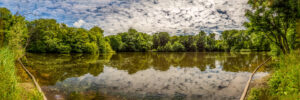 124-2014-06-22 Meer en bos