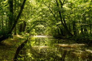 125-2014-06-22 Meer en bos