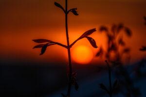 127-2015-04-11 Zonsondergang