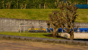 130-2015-01-23 Madurodam