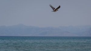 135-2015-05-15 Vakantie Corfu