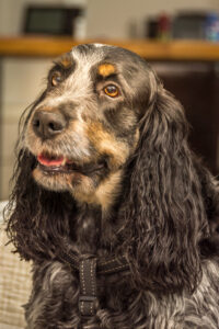 143-2015-04-26 Paddy