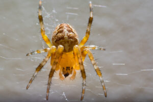 185-2014-08-05 Macro