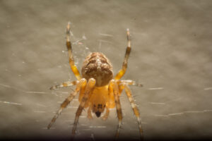 186-2014-08-05 Macro