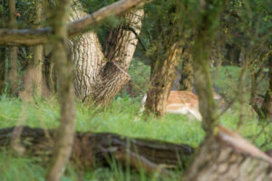 074-2014-08-24 Waterleidingduinen