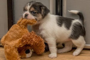 2015-11-18 Marja - 20151118-1674-82038