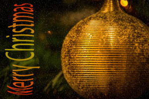 252-2014-12-15 Kerstboom