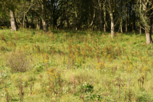 180-2014-08-24 Waterleidingduinen